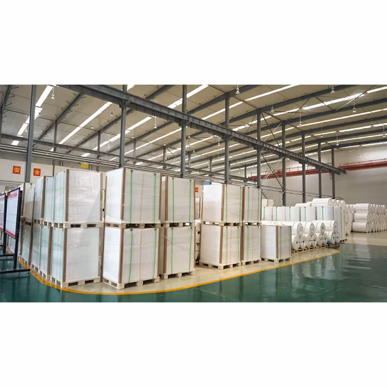 Papel de piedra Papel recubierto de PE utilizado para papel de regalo